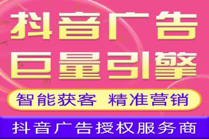 案例对比：不同竞价广告平台的优劣